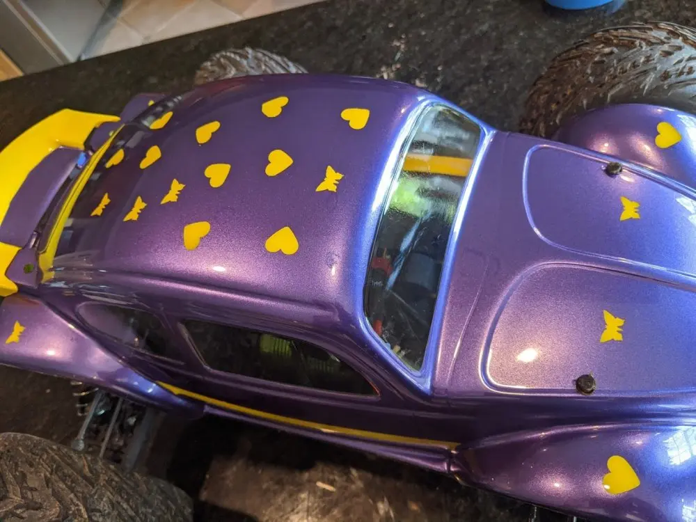 purplebug_IMG_20200501_171924.webp